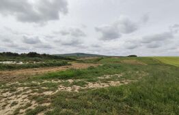 Teren intravilan in Cheriu foarte aproape de inelul metropolitan