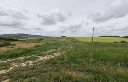 Teren intravilan in Cheriu foarte aproape de inelul metropolitan