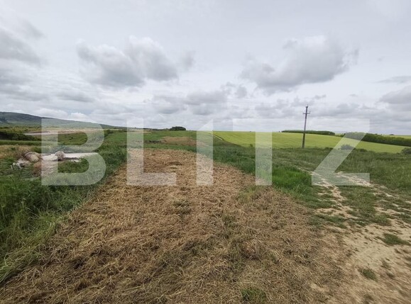 Teren de vânzare Cheriu - 171050TV | BLITZ Oradea | Poza9