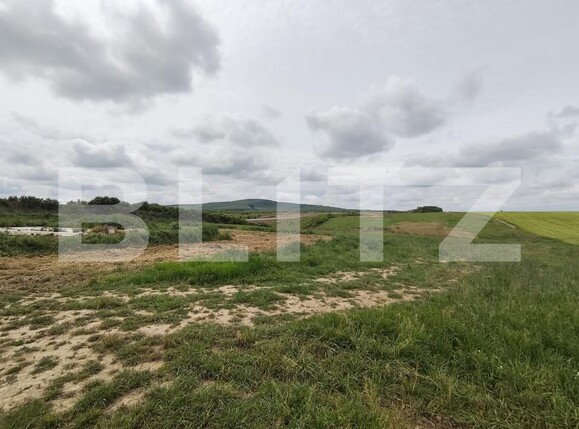 Teren de vânzare Cheriu - 171050TV | BLITZ Oradea | Poza7