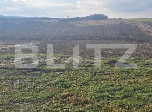 Teren de vânzare Cheriu - 171050TV | BLITZ Oradea | Poza2