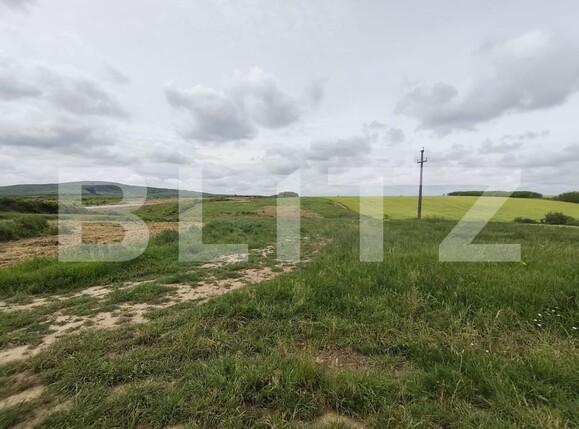 Teren de vânzare Cheriu - 171050TV | BLITZ Oradea | Poza11