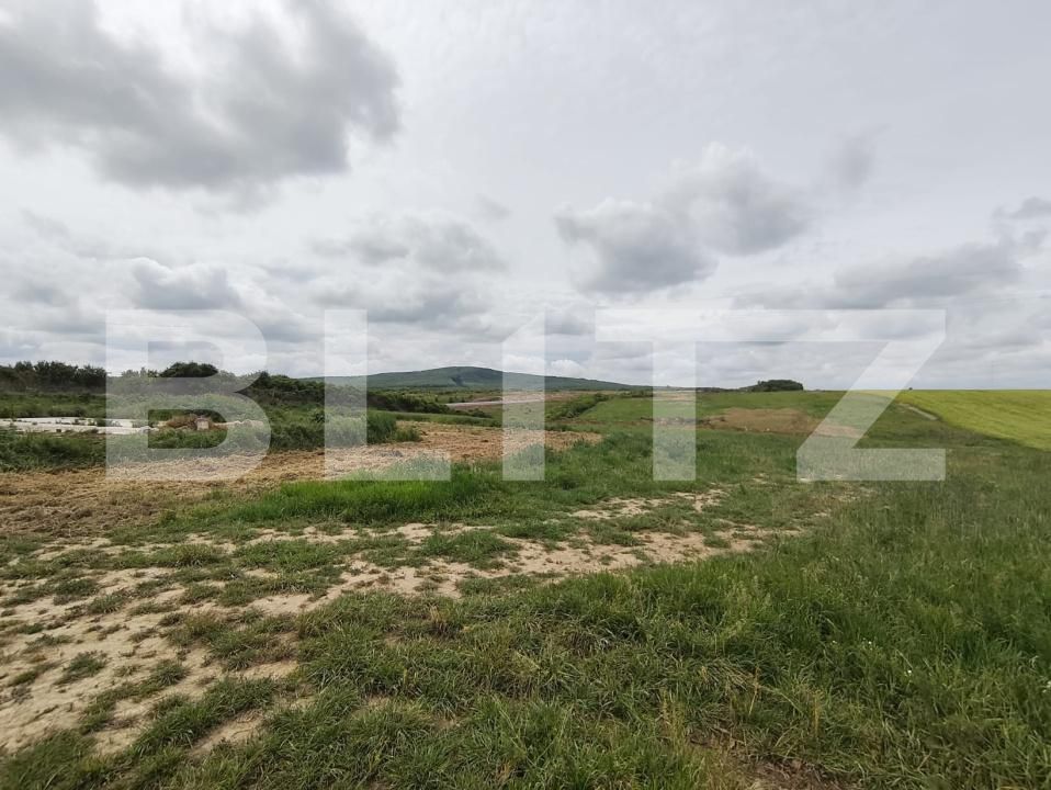 Teren de vânzare Cheriu - 171050TV | BLITZ Oradea | Poza7