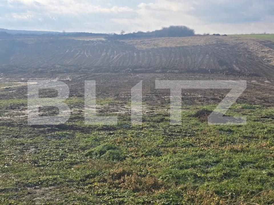 Teren de vânzare Cheriu - 171050TV | BLITZ Oradea | Poza2