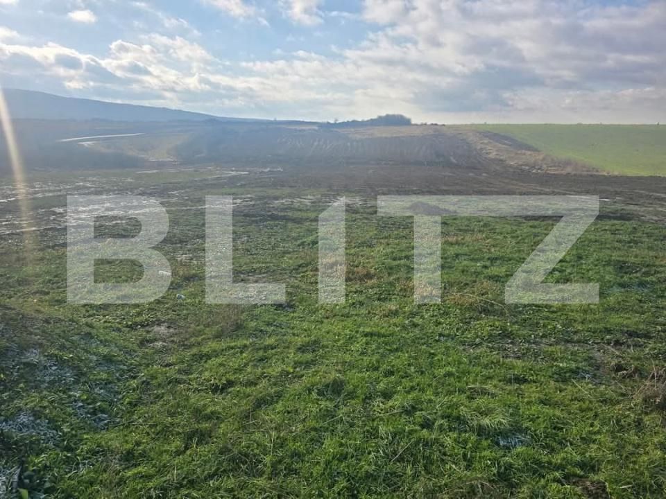 Teren de vânzare Cheriu - 171050TV | BLITZ Oradea | Poza1