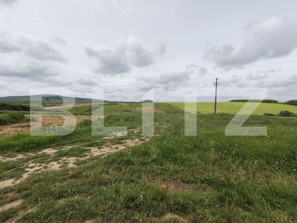 Teren de vânzare Cheriu - 171050TV | BLITZ Oradea | Poza11