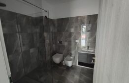 Apartament cu 2 camere decomnadate langa Hotel Prezident Baile Felix