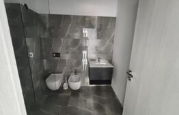 Apartament cu 2 camere decomnadate langa Hotel Prezident Baile Felix