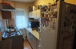 Apartament cu 2 dormitoare in Rogerius