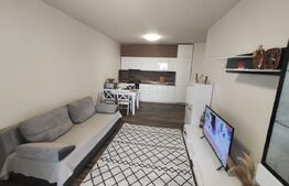 Apartament etaj intermediar zona Onestilor