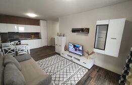 Apartament etaj intermediar zona Onestilor