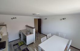 Casa moderna pe un singur nivel + beci finisata si mobilata in Nojorid 