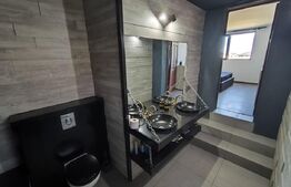 Casa moderna pe un singur nivel + beci finisata si mobilata in Nojorid 