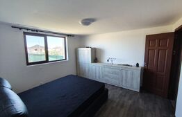 Casa moderna pe un singur nivel + beci finisata si mobilata in Nojorid 