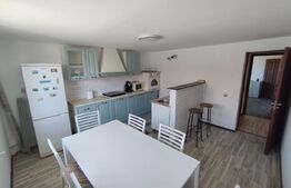 Casa moderna pe un singur nivel + beci finisata si mobilata in Nojorid 