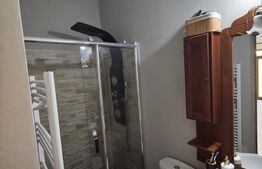 Casa moderna pe un singur nivel + beci finisata si mobilata in Nojorid 