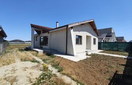 Casa moderna pe un singur nivel + beci finisata si mobilata in Nojorid 