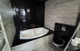 Casa moderna pe un singur nivel + beci finisata si mobilata in Nojorid 