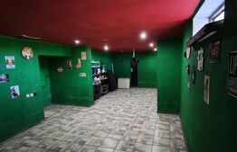 Casa moderna pe un singur nivel + beci finisata si mobilata in Nojorid 