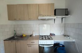 Apartament 3 camere , Nufarul