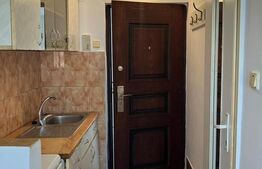 Garsoniera de 15mp, Rogerius