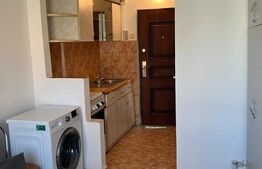 Garsoniera de 15mp, Rogerius