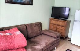 Garsonieră de 20 mp, la 2 pași de Parcul Olosig, Rogerius