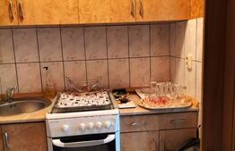 Garsonieră de 20 mp, la 2 pași de Parcul Olosig, Rogerius