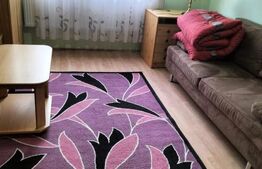 Garsonieră de 20 mp, la 2 pași de Parcul Olosig, Rogerius