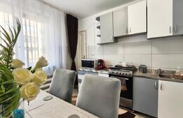 Apartament 3 camere Decebal 