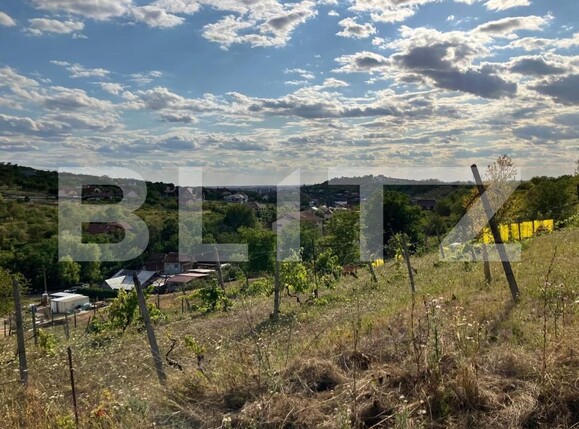 Teren de vânzare Dealuri Oradea - 176457TV | BLITZ Oradea | Poza2
