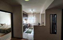 Apartament 2 camere Central 