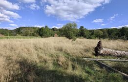 De vanzare casa, zona turistica Vadu Crisului - Bratca, cu teren 5000 mp