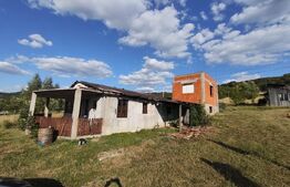 De vanzare casa, zona turistica Vadu Crisului - Bratca, cu teren 5000 mp