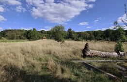 De vanzare casa, zona turistica Vadu Crisului - Bratca, cu teren 5000 mp