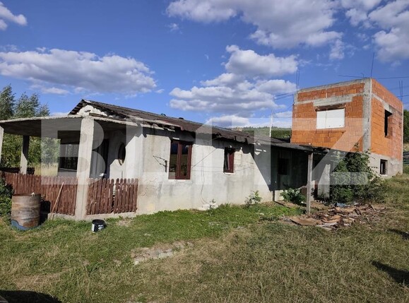 Casa de vânzare 3 camere Vadu Crisului - 176602CV | BLITZ Oradea | Poza10