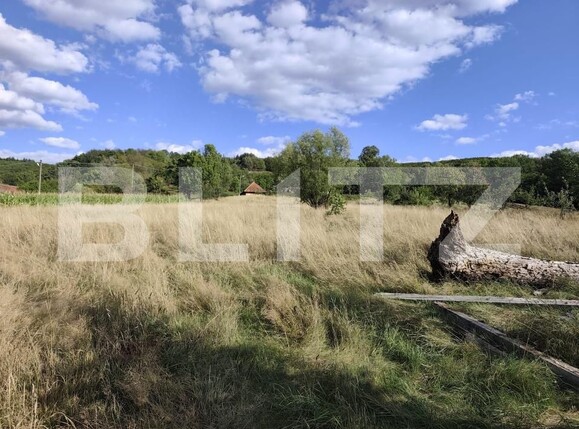 Casa de vânzare 3 camere Vadu Crisului - 176602CV | BLITZ Oradea | Poza13