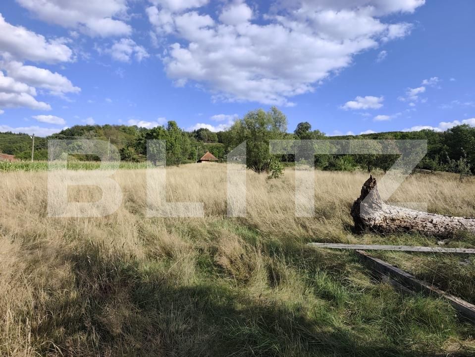 Casa de vânzare 3 camere Vadu Crisului - 176602CV | BLITZ Oradea | Poza13