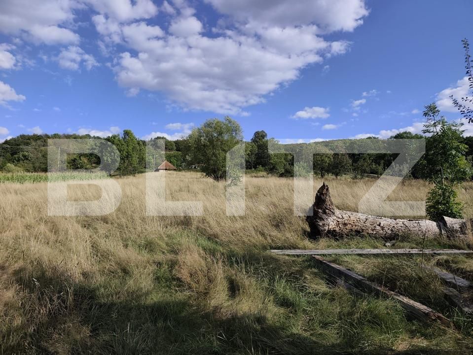 Casa de vânzare 3 camere Vadu Crisului - 176602CV | BLITZ Oradea | Poza12