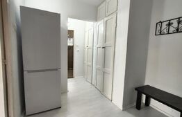 Apartament cu 2 camere, 50 mp, zona Decebal