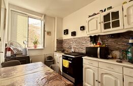 Apartament 2 camere, balcon deschis, nemobilat - Rogerius