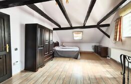 Casa la curte comuna ultracentrala 