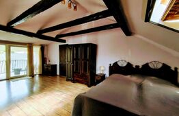 Casa la curte comuna ultracentrala 