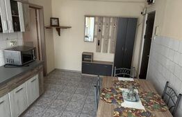 Apartament semidecomandat cu 2 camere, mobilat - Nufarul