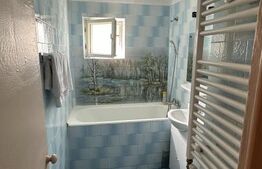 Apartament semidecomandat cu 2 camere, mobilat - Nufarul