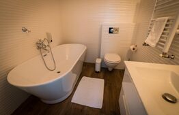 Apartament cu o camera, ultracentral