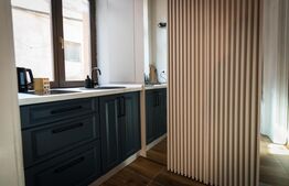 Apartament cu o camera, ultracentral