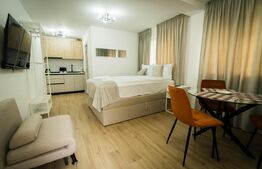 Apartament cu o camera, 30 mp, ultracentral