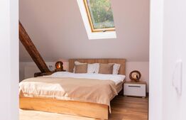 Apartament cu o camera, 20 mp, ultracentral