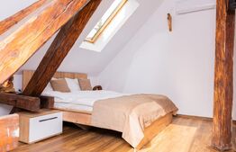 Apartament cu o camera, 20 mp, ultracentral